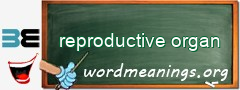 WordMeaning blackboard for reproductive organ
